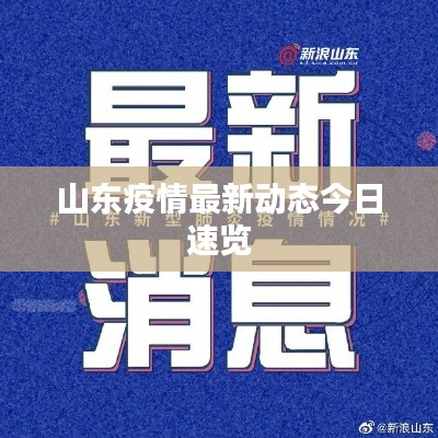 一毫不苟