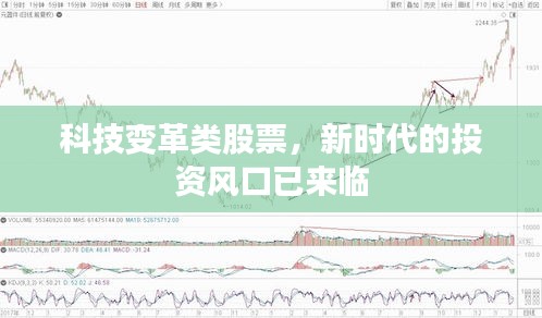 科技变革类股票，新时代的投资风口已来临