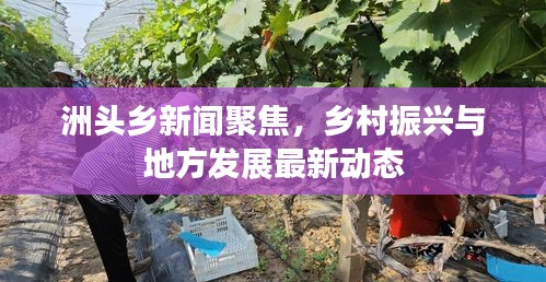 米念PARK仓储物流园 第5页