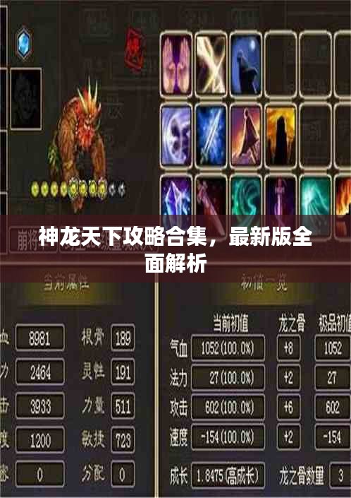 神龙天下攻略合集，最新版全面解析